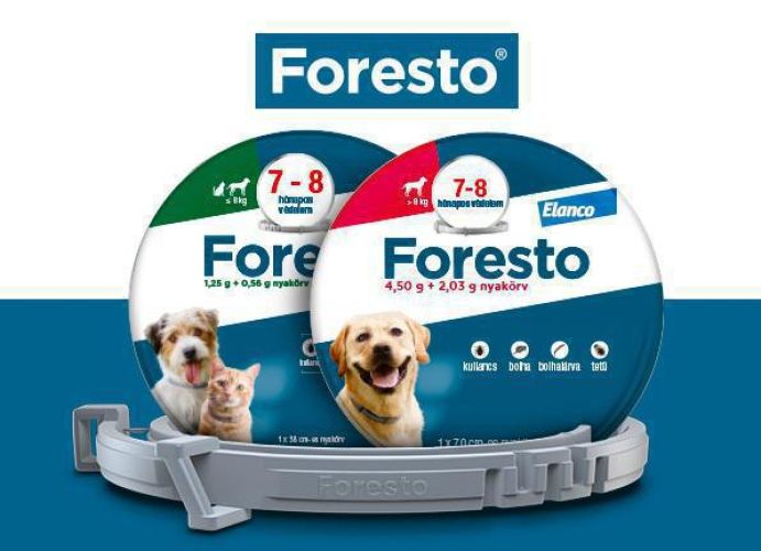 Foresto 4,50 g + 2,03 g nyakörv kutyáknak > 8 kg A.U.V.  1 db