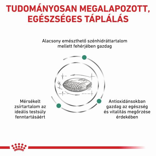 Royal Canin Diabetic Dog 37  1.5 kg