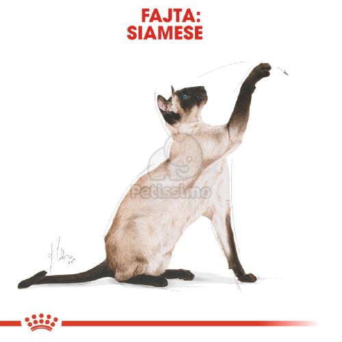 Royal Canin Siamese Adult - Sziámi felnőtt macska száraz táp  400 g