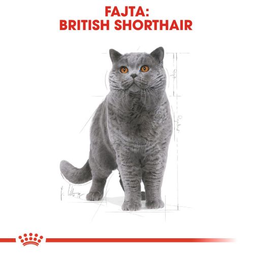 Royal Canin British Shorthair Adult - Brit rövidszőrű felnőtt macska száraz táp  2 kg