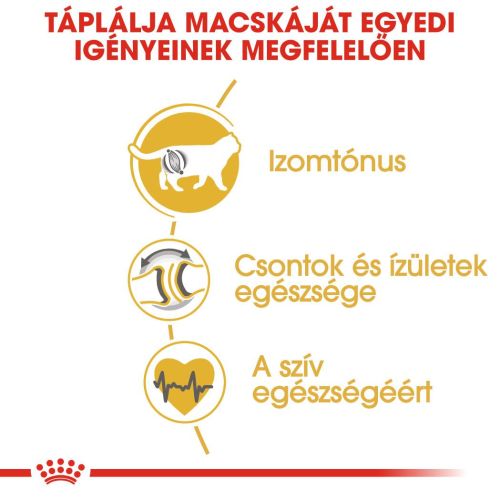 Royal Canin British Shorthair Adult - Brit rövidszőrű felnőtt macska száraz táp  2 kg