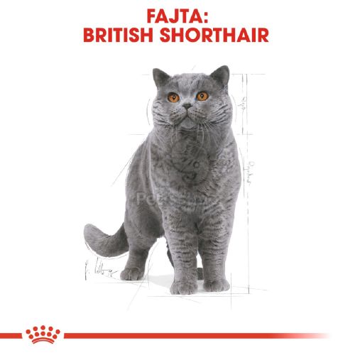 Royal Canin British Shorthair Adult - Brit rövidszőrű felnőtt macska száraz táp  2 kg