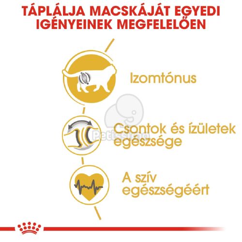 Royal Canin British Shorthair Adult - Brit rövidszőrű felnőtt macska száraz táp  2 kg