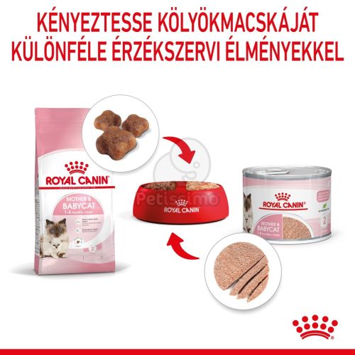 Royal Canin Mother & Babycat Mousse - kölyök macska pépes nedves táp  195 g
