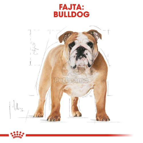Royal Canin Bulldog Adult - Angol Bulldog felnőtt kutya száraz táp  12 kg