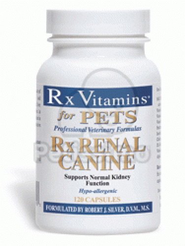 RX RENAL CANINE  120 db