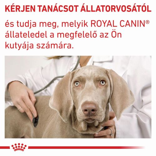 Royal Canin Mature Consult Medium Dog  10 kg