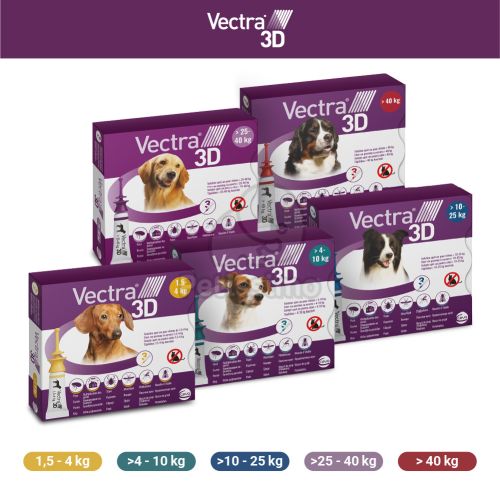 Vectra 3D rácsepegtető oldat 1,5 - 4 kg-os kutyáknak XS  3 db