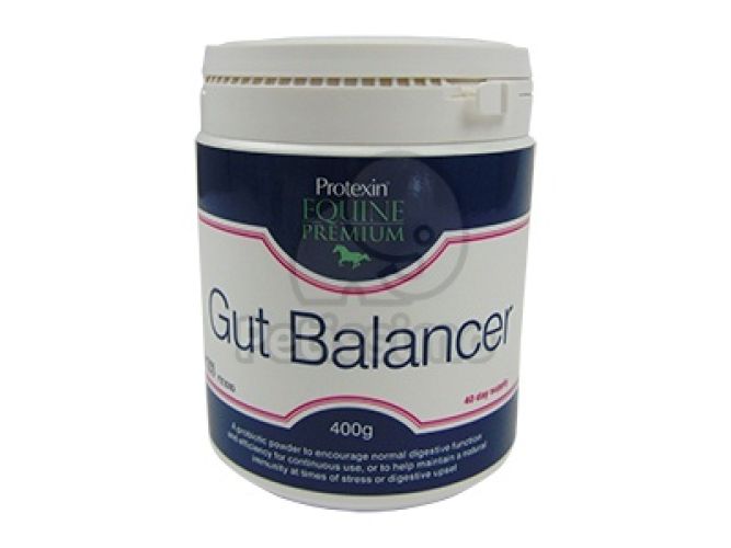 Protexin Gut Balancer 400 g