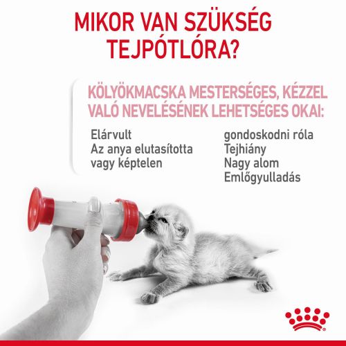 Royal Canin Babycat Milk -  tejpótló tápszer kölyökmacska részére  300 g