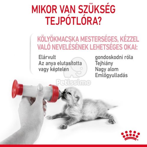 Royal Canin Babycat Milk -  tejpótló tápszer kölyökmacska részére  300 g