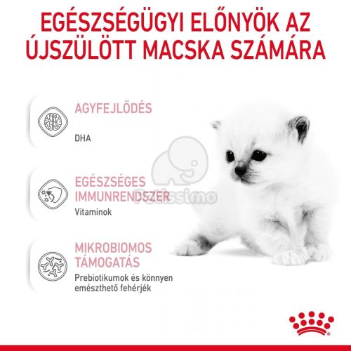 Royal Canin Babycat Milk -  tejpótló tápszer kölyökmacska részére  300 g