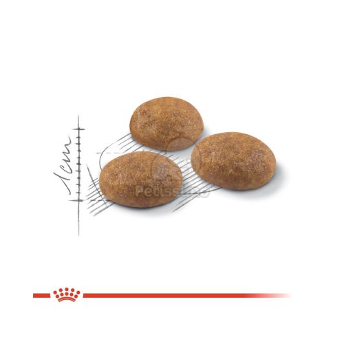 Royal Canin Outdoor - szabadba gyakran kijáró, aktív felnőtt macska száraz táp  2 kg