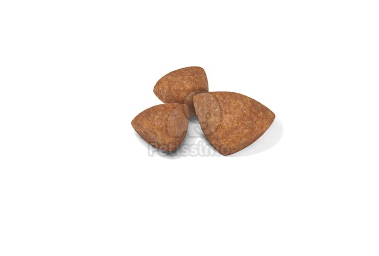 Royal Canin X-Small Puppy - nagyon kistestű kölyök kutya száraz táp  1.5 kg