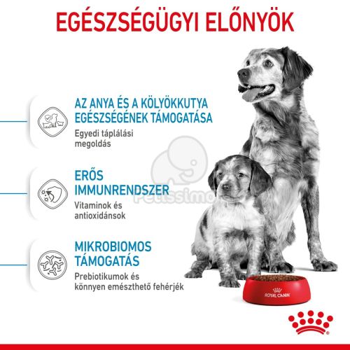 Royal Canin Medium Starter Mother & Babydog - közepes testű kölyök vemhes kutya száraz táp  1 kg