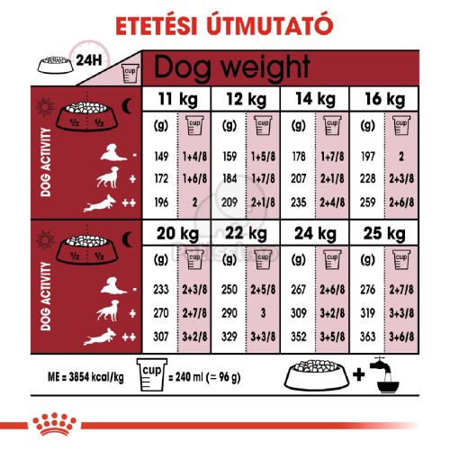 Royal Canin Medium Adult 7+ - közepes testű idősödő kutya száraz táp  4 kg