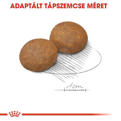 Royal Canin Maxi Adult 5+ - nagytestű idősödő kutya száraz táp  4 kg
