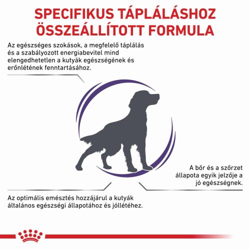 Royal Canin Adult Medium Dog  4 kg