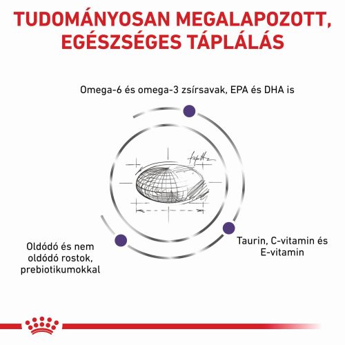 Royal Canin Medium Adult Dog  4 kg