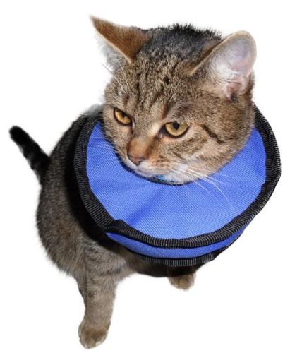 Antiallergén műtéti gallér xl-es   1 db