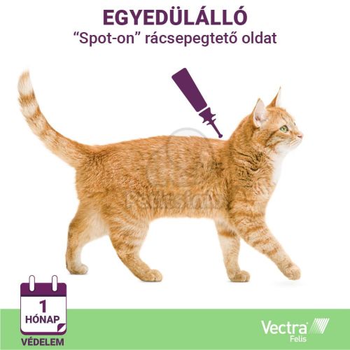 VECTRA FELIS (0,6-10KG) 3 db