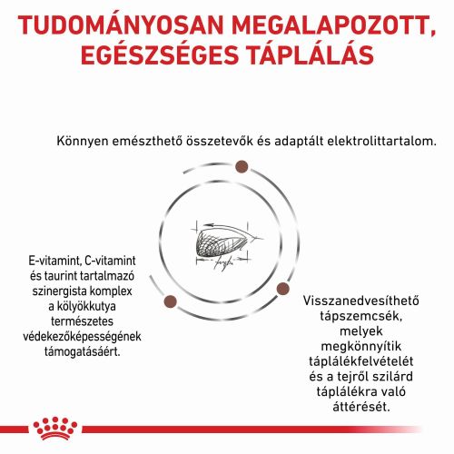 Royal Canin Gastrointestinal Puppy  1 kg