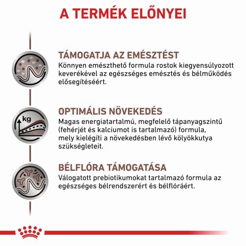 Royal Canin Gastrointestinal Puppy  1 kg