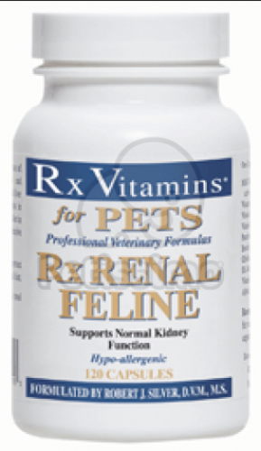 RX RENAL FELINE 120 db