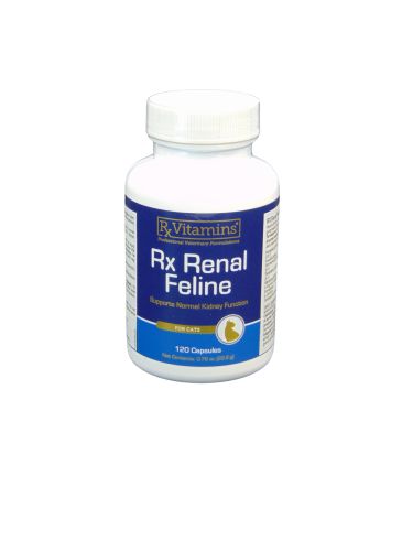RX RENAL FELINE  120 db
