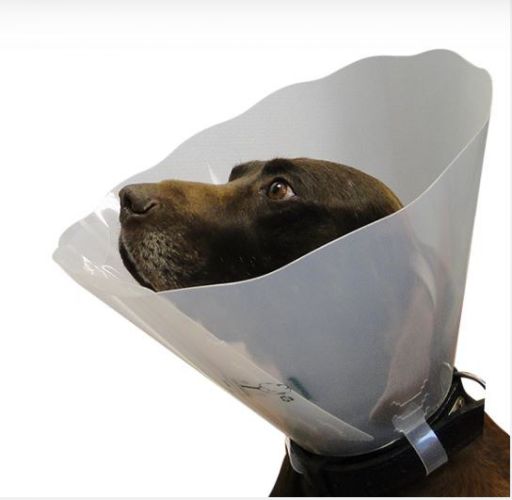 Műtéti gallér Greencol 12,5 cm   1 db