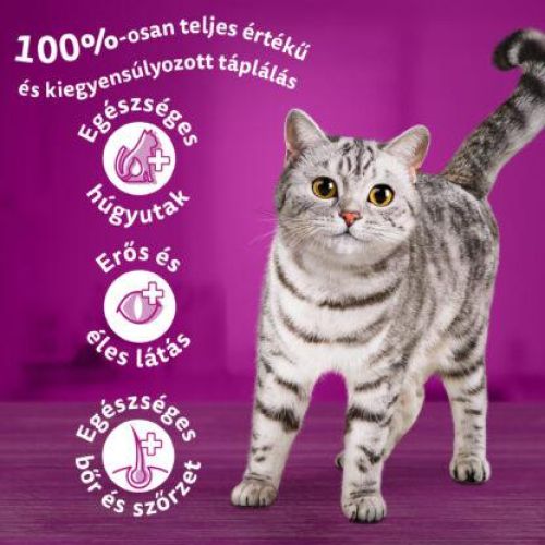 Whiskas szárazeledel csirkével  1.4 kg
