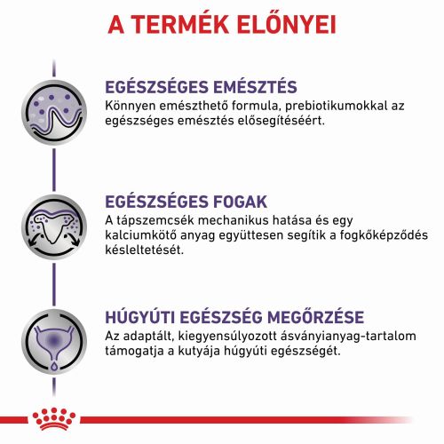 Royal Canin Small Adult Dog  8 kg