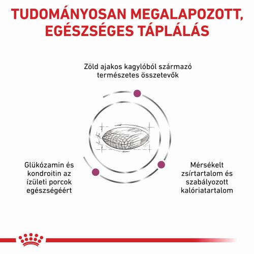 Royal Canin Mobility Support  2 kg
