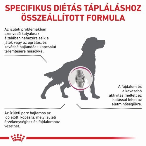 Royal Canin Mobility Support  12 kg