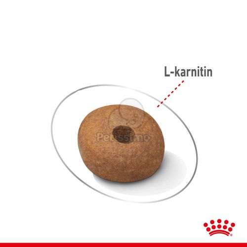 Royal Canin Medium Light Weight Care - száraz táp hízásra hajlamos, közepes testű felnőtt kutyák részére  3 kg