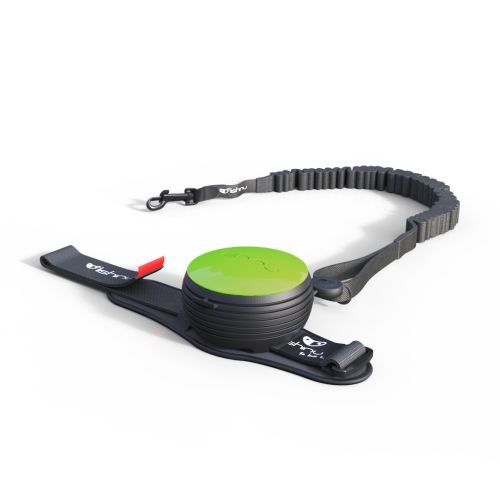 Lishinu Bungee automata póráz  Zöld stopperrel 