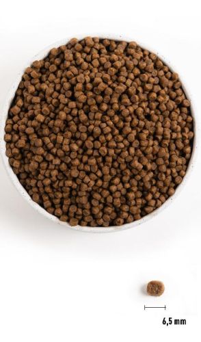 Acana Puppy Small Breed  2 kg