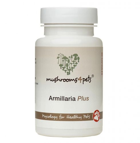 ARMILLARIA PLUS  60 kapszula