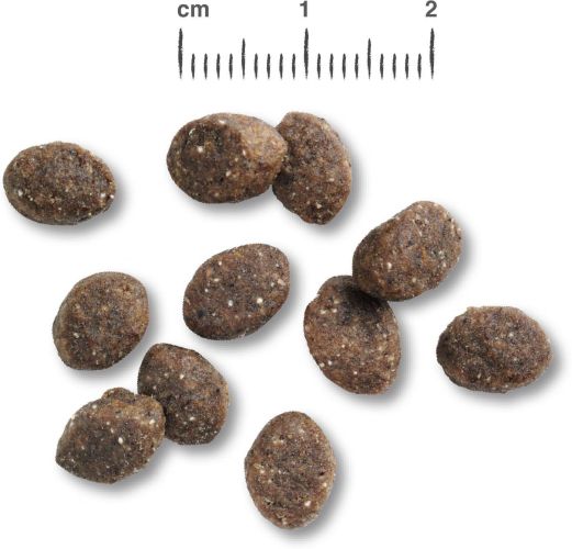 Belcando Puppy Gravy  1 kg