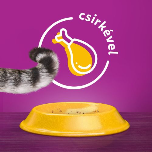 Whiskas szárazeledel csirkével  14 kg