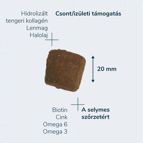 Pro-Nutrition Prestige Adult Maxi  14 kg