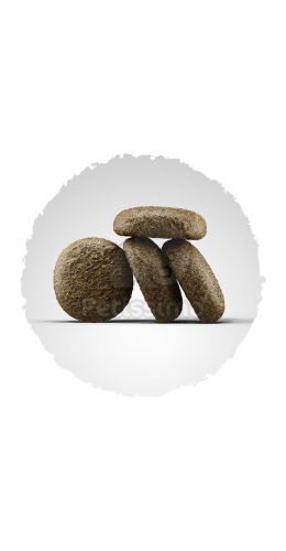 Josera Adult Salmon & Potato  15 kg