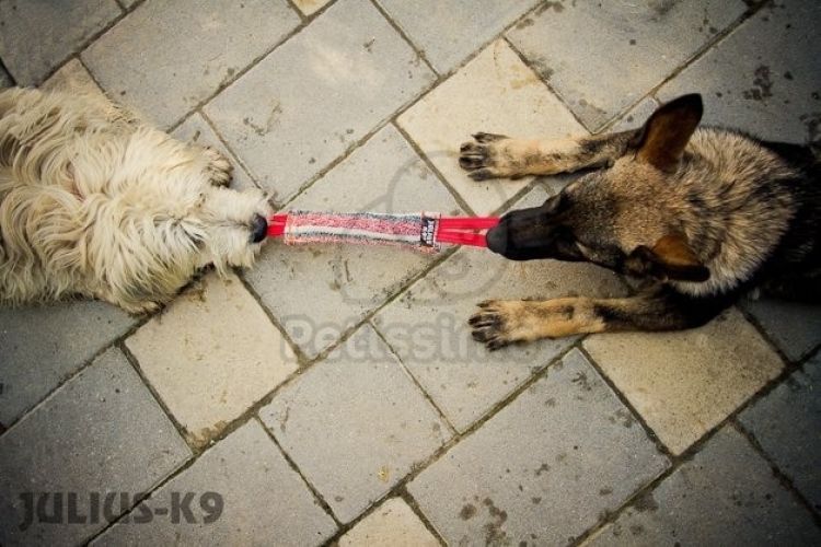 Julius-K9 pamut ütőzsák, 2 fogóval  30x7 cm