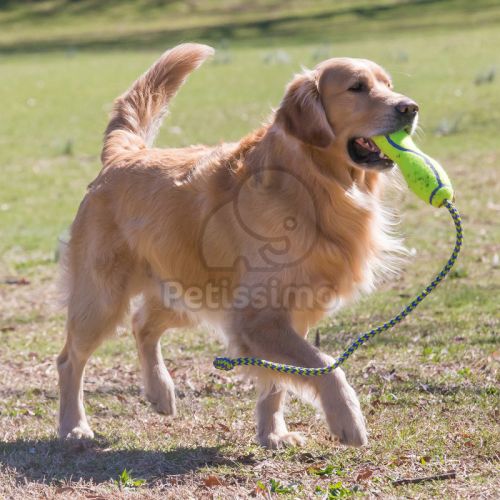 KONG AirDog Fetch Stick  L 