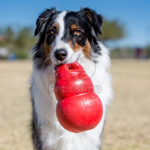 KONG Bounzer  XL 