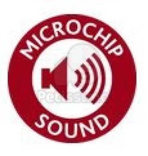 KONG Squeezz Ball  L 