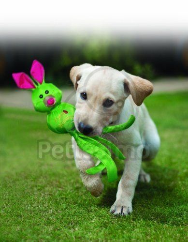 KONG Wubba Ballistic Friend  S 