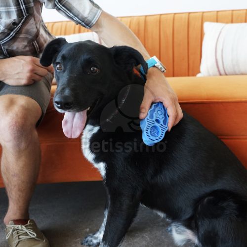 KONG Zoom Groom  Boysenberry 