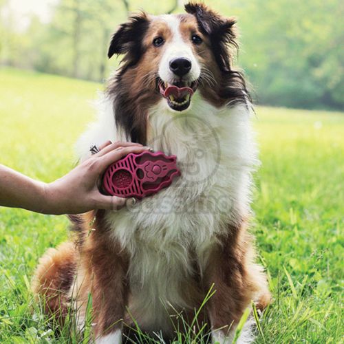 KONG Zoom Groom  Boysenberry 