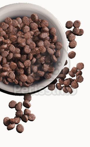 Leonardo Adult Sensitive Hal & Rizs  0.4 kg